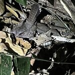 Photo taken by Shanthi V