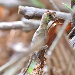 Photo taken by Graeme W