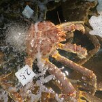 Photo taken by Iain M