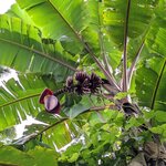 Photo taken by Ciarra N