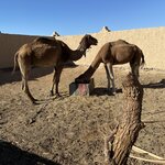 Photo taken by Marcello A