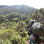 Photo taken by Kristin M