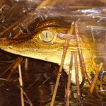 Photo taken by Dennis H