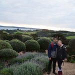 Waiheke Island | Photo taken by JESSICA T