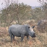 Photo taken by Joanne B