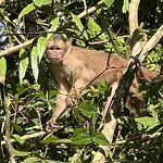 Photo taken by Thomas R