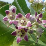 Photo taken by Brett F