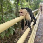 Photo taken by Karen P