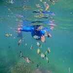 Photo taken by Shaula L