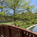 Photo taken by David & Sarah K