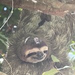 Photo taken by Bonnie Y