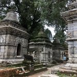 Photo taken by Joanna K