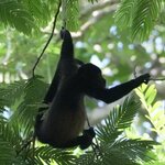 Photo taken by Joyce C