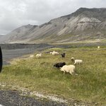 Photo taken by Paula V