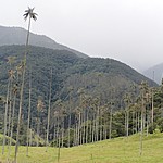 Photo taken by Janice B