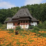 Barsana monastery (1993) | Photo taken by ronald d