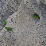 Photo taken by Graeme W