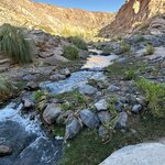 Photo taken by lynn o