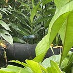 Photo taken by Alexia M