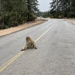 Photo taken by Brooke D