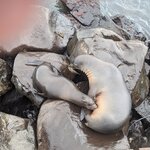 Photo taken by mimi s