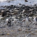 Photo taken by Mariellen S