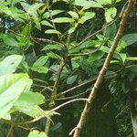 Photo taken by Darla D