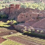 Photo taken by Kris C