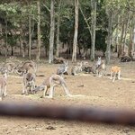 Photo taken by Daniel S