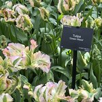 Photo taken by Monique L