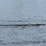 Photo taken by Michael L