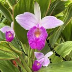 Photo taken by Carrie N