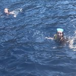 Photo taken by Janelle M