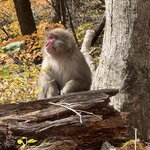 Photo taken by Beverly G