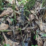 Photo taken by Jacob S