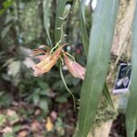 Photo taken by Blair H