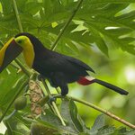 Photo taken by Brooke M