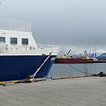 Photo taken by Michael M