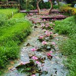 Photo taken by Chinwe O