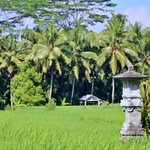 Photo taken by Laurence S