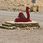 Photo taken by Evelyn K