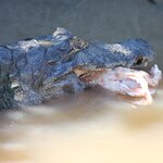 Photo taken by Kelvin V