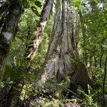 Photo taken by Heather R