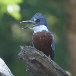 Photo taken by Joyce C