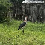 Photo taken by Michael Z