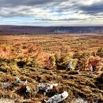 Photo taken by Terry M