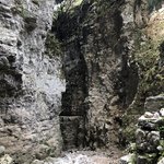 Photo taken by Liz S