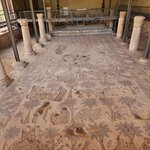 Photo taken by Wendy Q