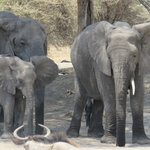 Photo taken by Kristin M