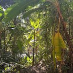 Photo taken by Bailey W